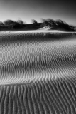 Ondas de areia | Sandy waves
