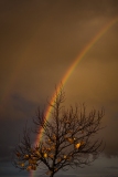 O arco íris | The Rainbow